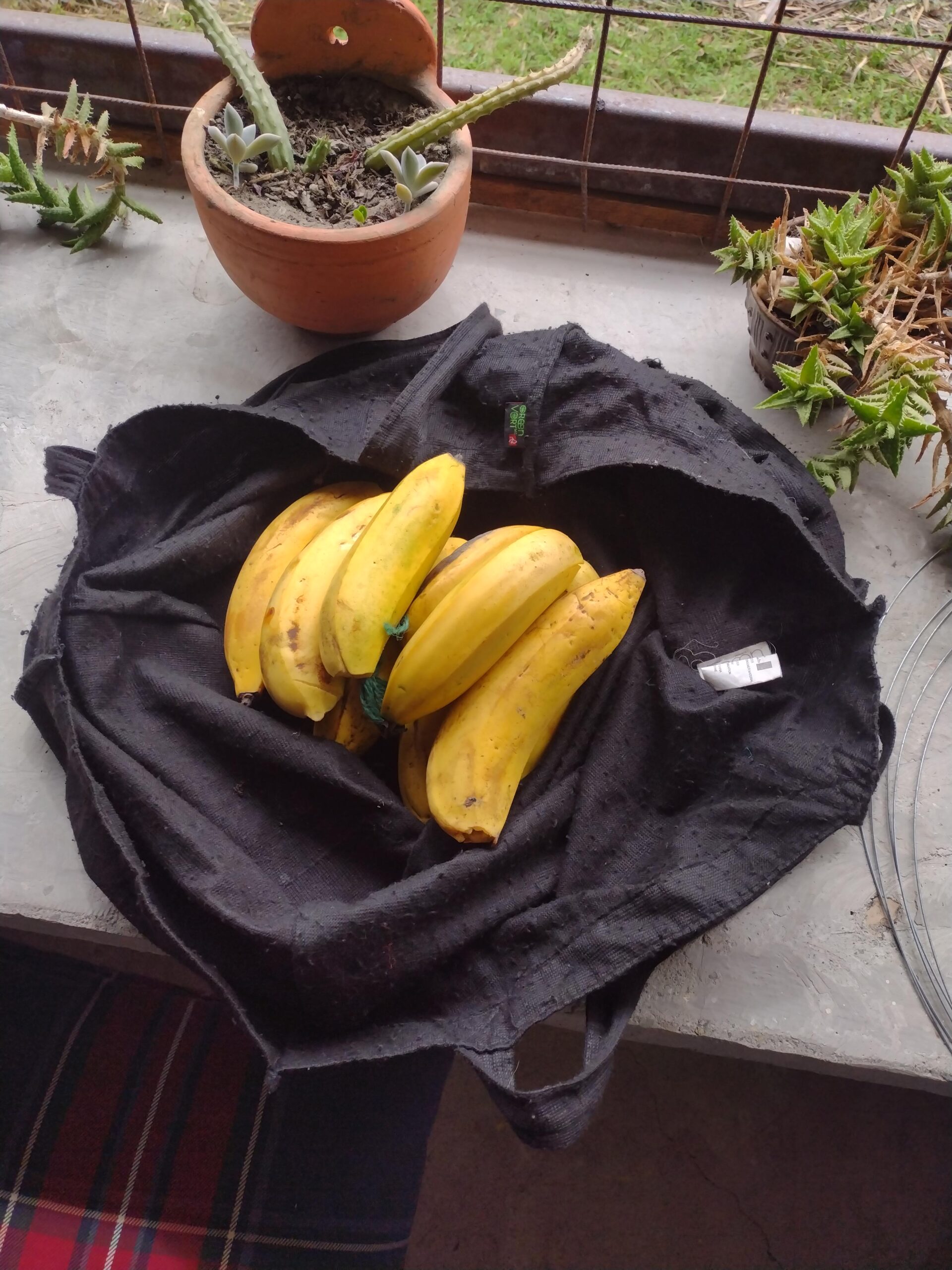 Feelgood Friday Story October 2025